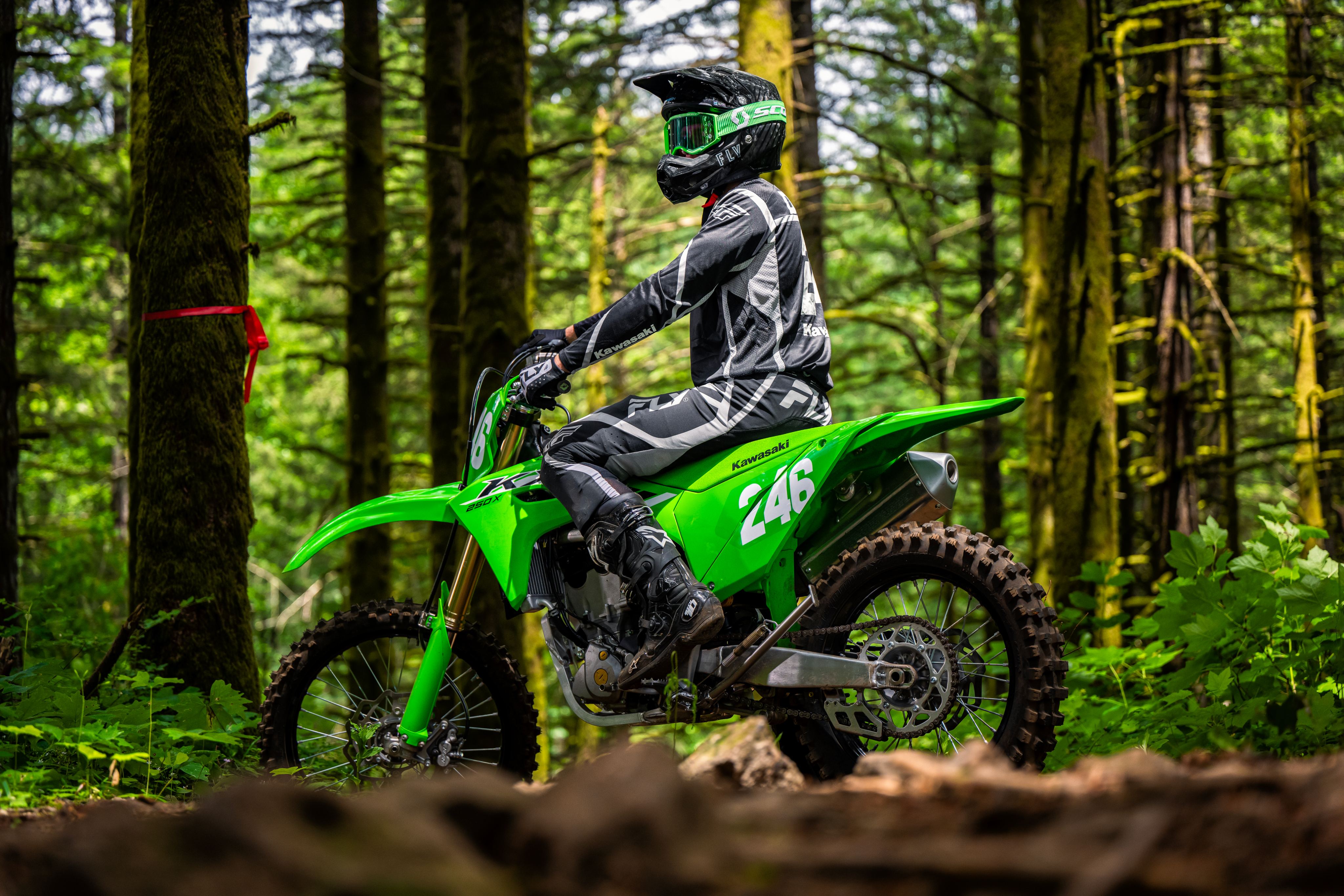 Kawasaki KX 250